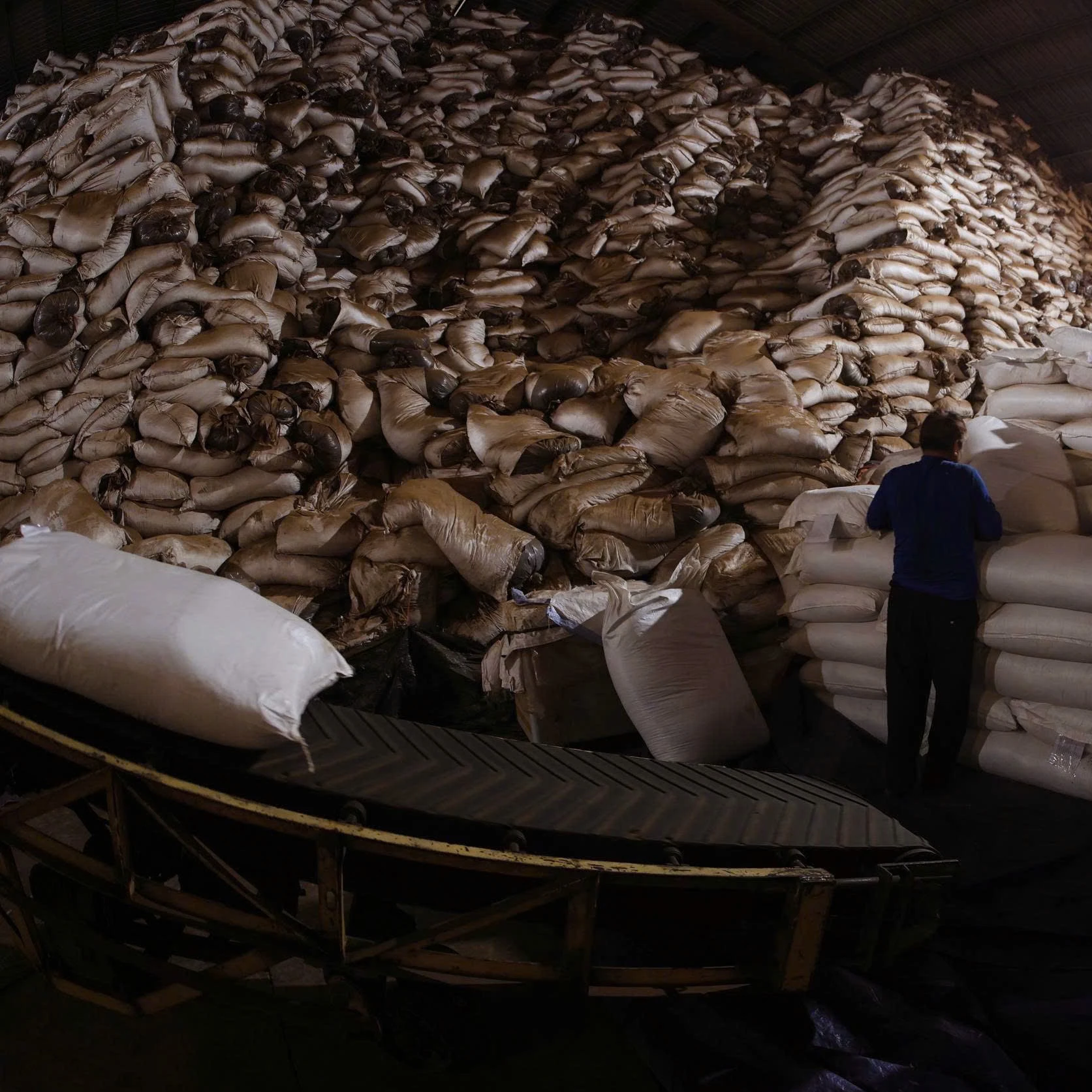 Vietnamese Tea Exported to Uzbekistan by Railway Transport